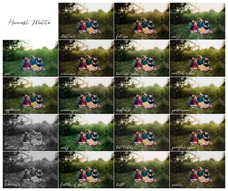 The same image edited with every preset in the Harvest Matte preset collection from Twig and Olive
